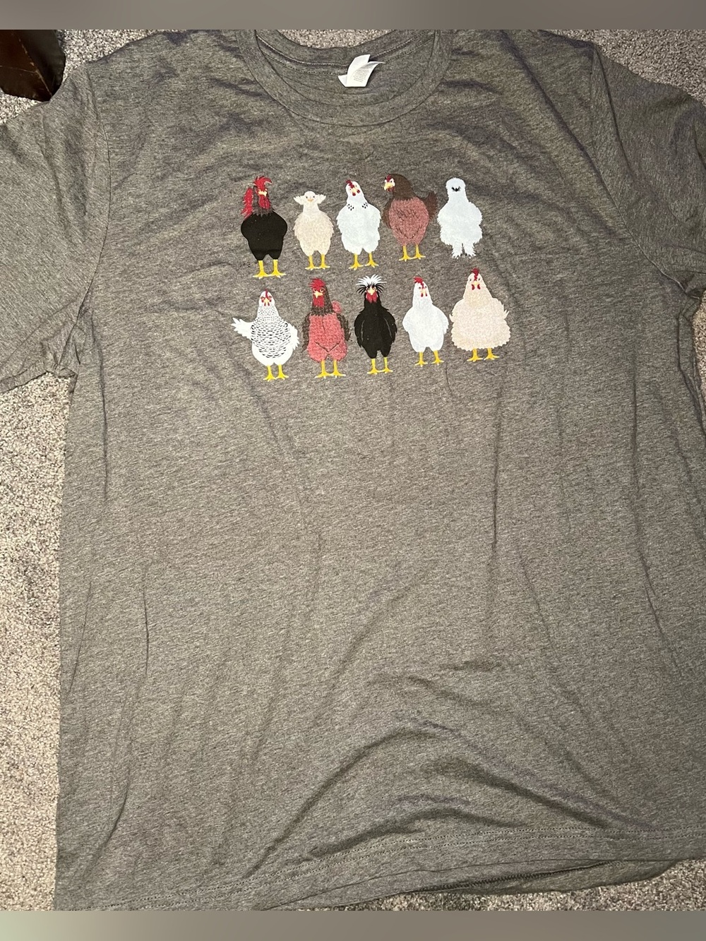 NWOT Chicken shirt plus size 2X gray, backyard chickens, t-shirt